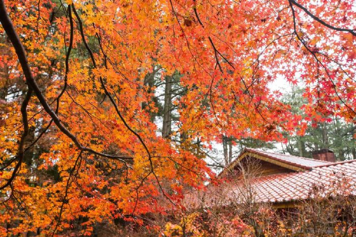 花蓮海景リゾートホテル 二日間旅行